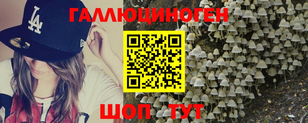 Чебаркуль  Псилоцибиновые грибы мицелий  Псилоцибиновые грибы MAGIC MUSHROOMS  где купить наркотик  Вход с VPN 